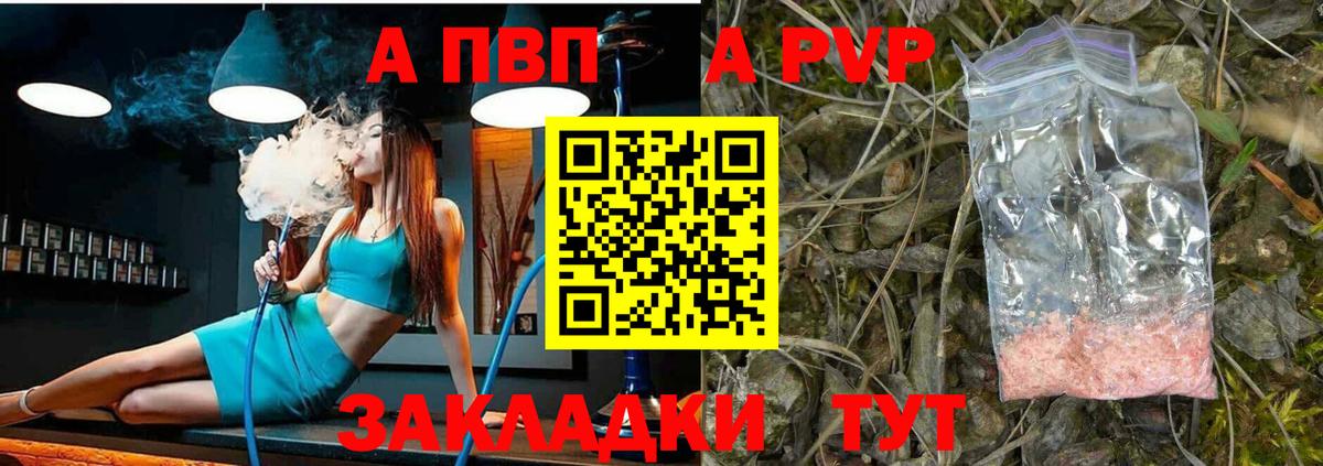 А ПВП СК КРИС Будённовск