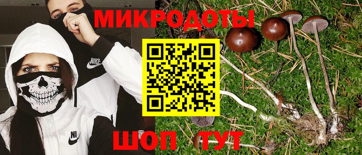 купить наркотики сайты  Вход с VPN  Будённовск  Галлюциногенные грибы ЛСД 