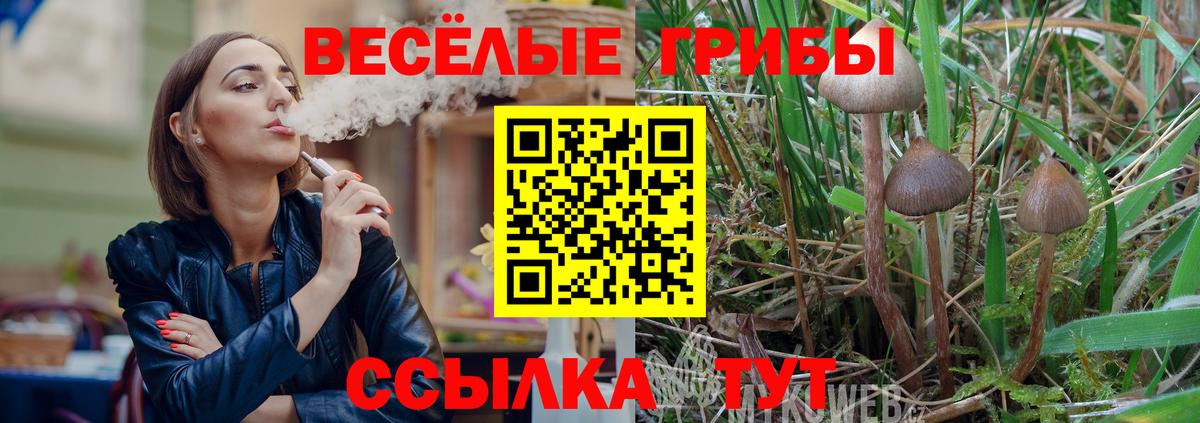 Галлюциногенные грибы MAGIC MUSHROOMS Будённовск